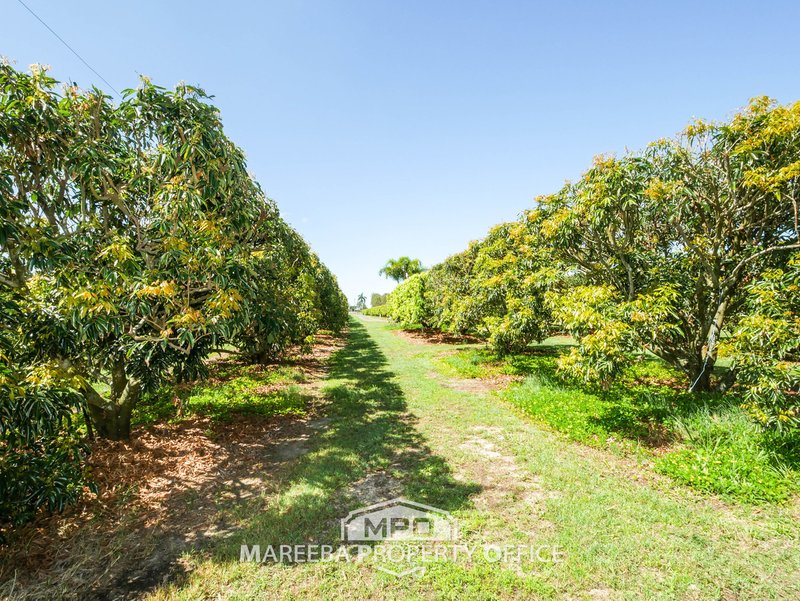 209 Malone Road, Mareeba QLD 4880 Real Estate Industry Partners