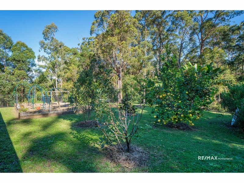 Photo - 209 Scotts Road, Booroobin QLD 4552 - Image 24