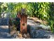Photo - 209 Scotts Road, Booroobin QLD 4552 - Image 30