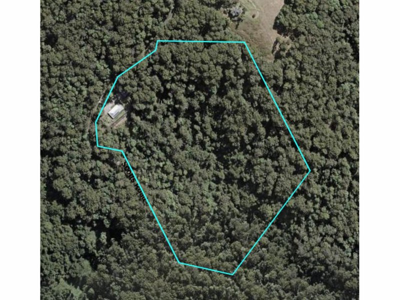 Photo - 209 Scotts Road, Booroobin QLD 4552 - Image 33