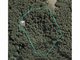 Photo - 209 Scotts Road, Booroobin QLD 4552 - Image 33