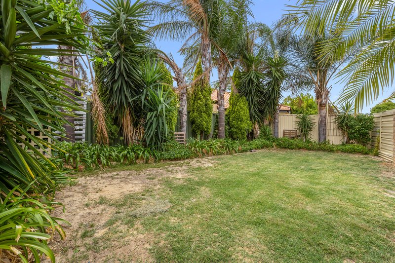 Photo - 20B Feathertop Rise, Alexander Heights WA 6064 - Image 18