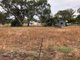 Photo - 21 - 23 Yarraman Street, Blackville NSW 2343 - Image 3