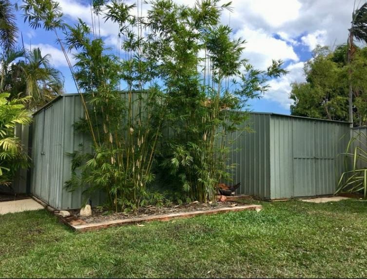 Photo - 21 Alstonia Drive, Nanum QLD 4874 - Image 6