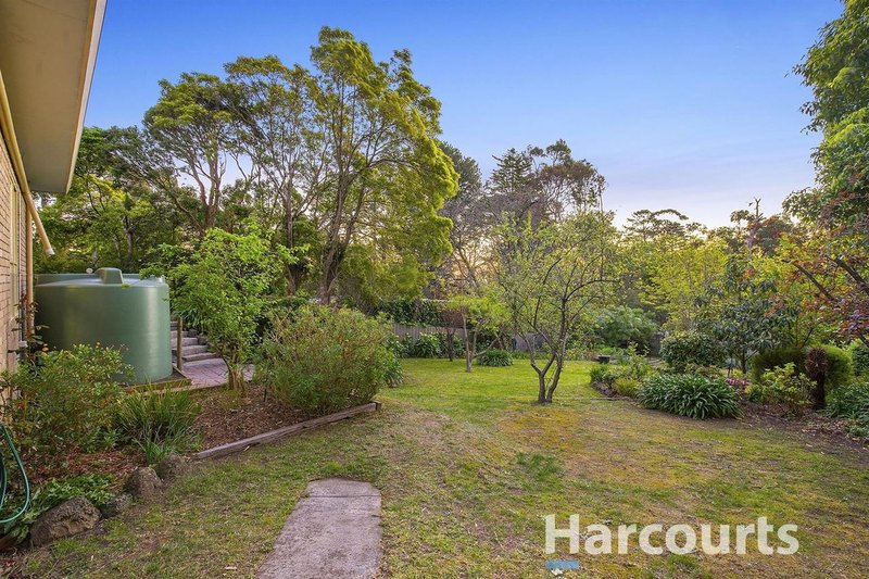 Photo - 21 Anderson Street, Ferntree Gully VIC 3156 - Image 18