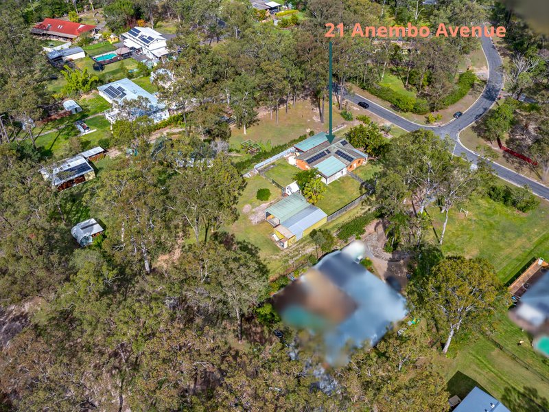 Photo - 21 Anembo Avenue, Pimpama QLD 4209 - Image 16