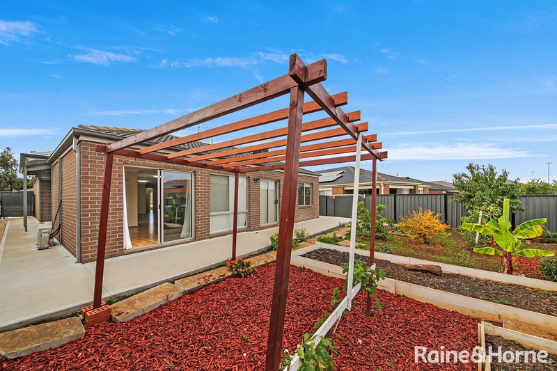 Photo - 21 Baratta Road, Tarneit VIC 3029 - Image 3