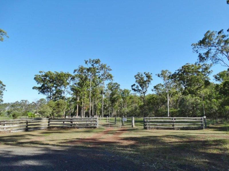 Photo - 21 Bindara Court, Mullett Creek QLD 4670 - Image 3