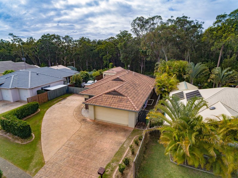 Photo - 21 Bluebell Court, Noosaville QLD 4566 - Image 3