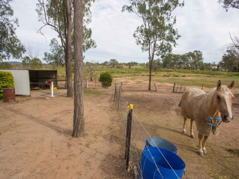 Photo - 21 Boronia Court, Blenheim QLD 4341 - Image 16