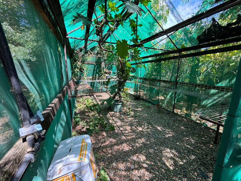 Photo - 21 Bourke Street, Blacks Beach QLD 4740 - Image 25
