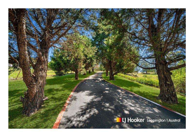 Photo - 21 Brooks Road, Denham Court NSW 2565 - Image 19