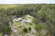 Photo - 21 Brushbox Crescent, Yarravel NSW 2440 - Image 13