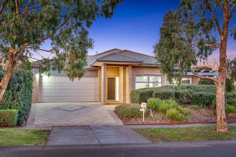 Photo - 21 Cascade Terrace, Craigieburn VIC 3064 - Image 2