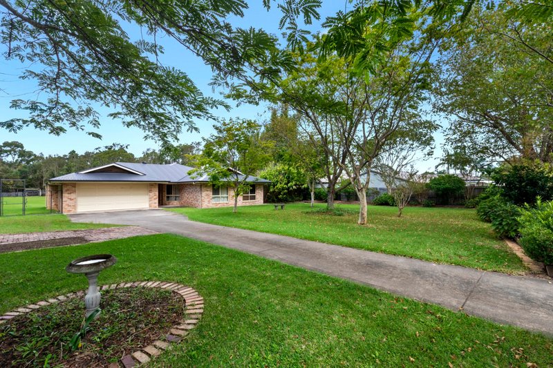 Photo - 21 Casuarina Drive, Little Mountain QLD 4551 - Image 2