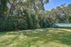 Photo - 21 Christensen Road, Kuranda QLD 4881 - Image 13