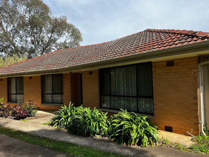 21 Clyde Street, Modbury SA 5092