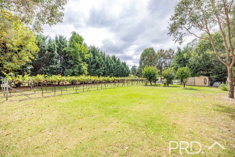 Photo - 21 Cromwell Street, Adelong NSW 2729 - Image 25