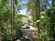 Photo - 21 Crosby Hill Road, Buderim QLD 4556 - Image 6