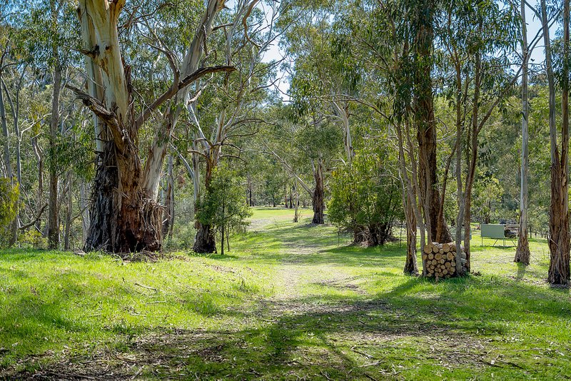 Photo - 21 Doyle Street, Reedy Creek VIC 3658 - Image 3