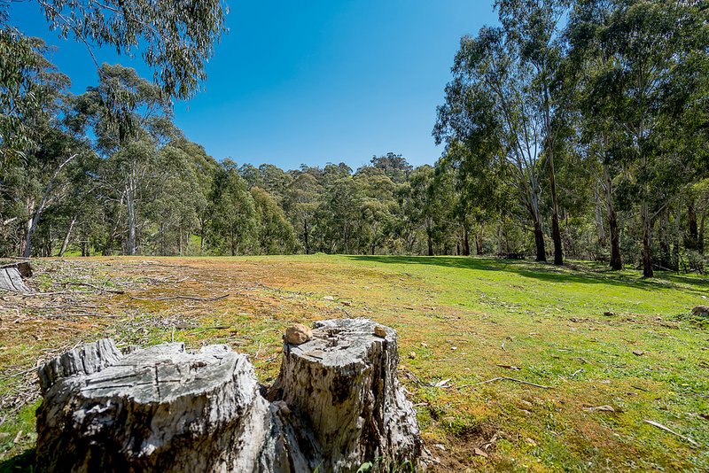 Photo - 21 Doyle Street, Reedy Creek VIC 3658 - Image 6