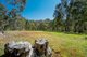 Photo - 21 Doyle Street, Reedy Creek VIC 3658 - Image 6