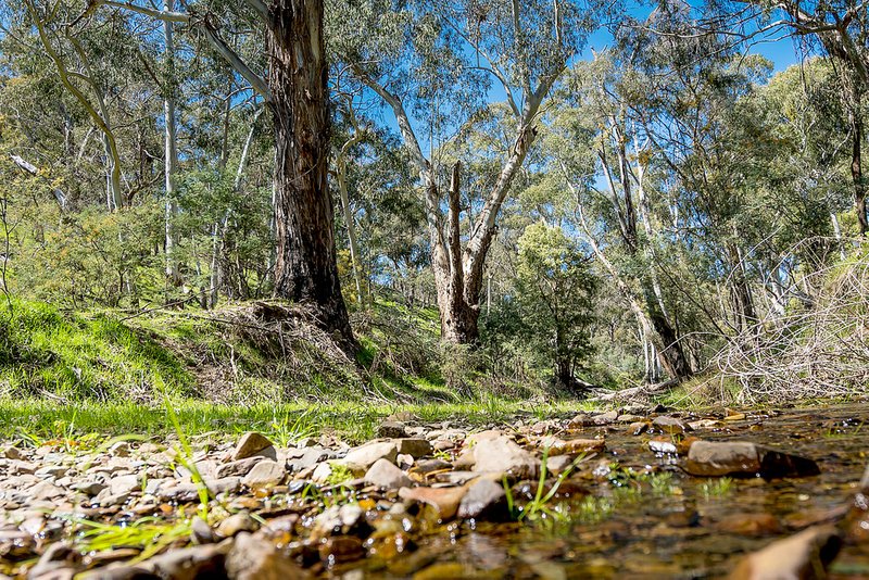 Photo - 21 Doyle Street, Reedy Creek VIC 3658 - Image 9