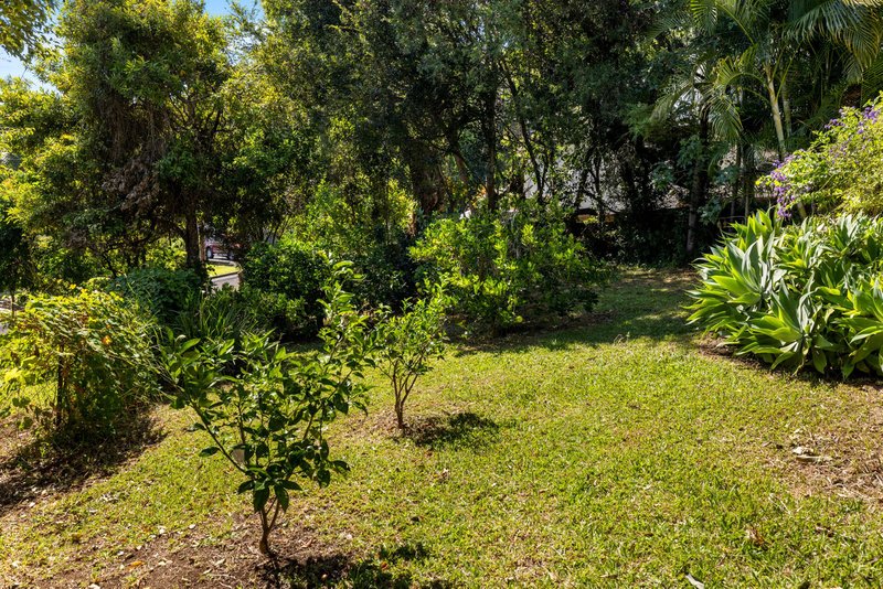 Photo - 21 Fairy Street, Kyogle NSW 2474 - Image 17
