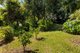 Photo - 21 Fairy Street, Kyogle NSW 2474 - Image 17