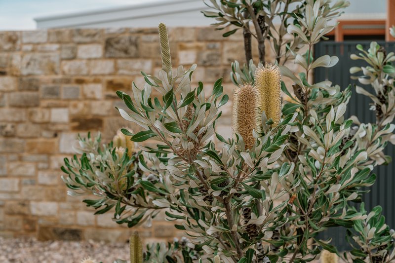 Photo - 21 Flinders Drive, Streaky Bay SA 5680 - Image 4