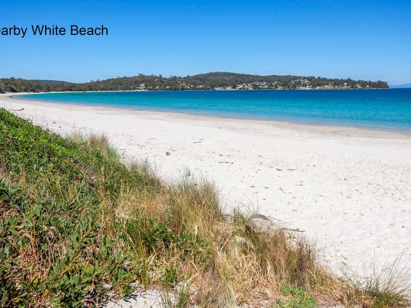 Photo - 21 Fox Avenue, White Beach TAS 7184 - Image 24