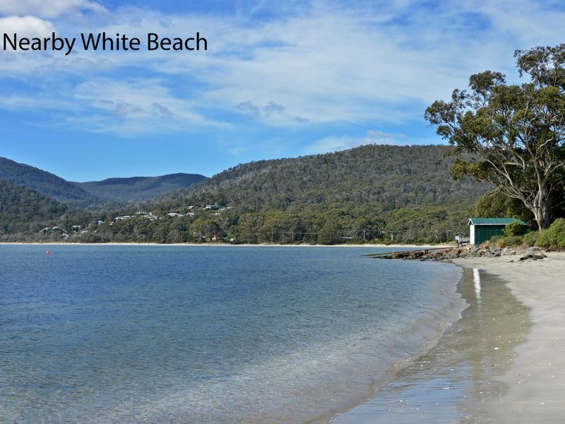 Photo - 21 Fox Avenue, White Beach TAS 7184 - Image 6