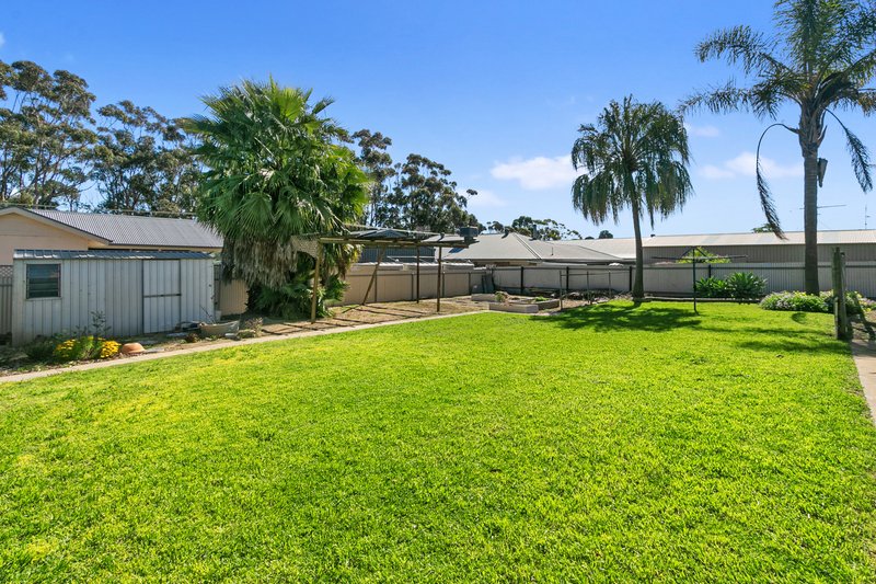 Photo - 21 Gardiner Terrace, Maitland SA 5573 - Image 12