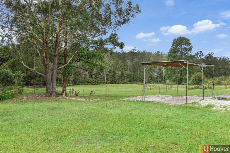 Photo - 21 Gorman Lane, Verges Creek NSW 2440 - Image 8