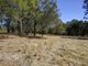 Photo - 21 Greys Road, Failford NSW 2430 - Image 9