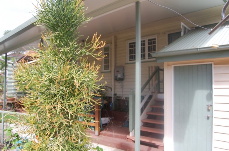 Photo - 21 Hay Street, Mitchelton QLD 4053 - Image 3