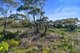 Photo - 21 High Street, Ardrossan SA 5571 - Image 17