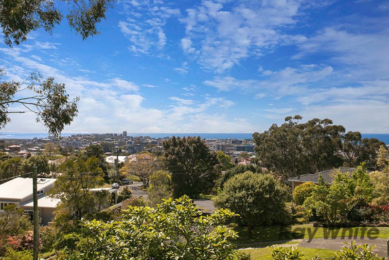 Photo - 21 Hilltop Avenue, Wollongong NSW 2500 - Image 3