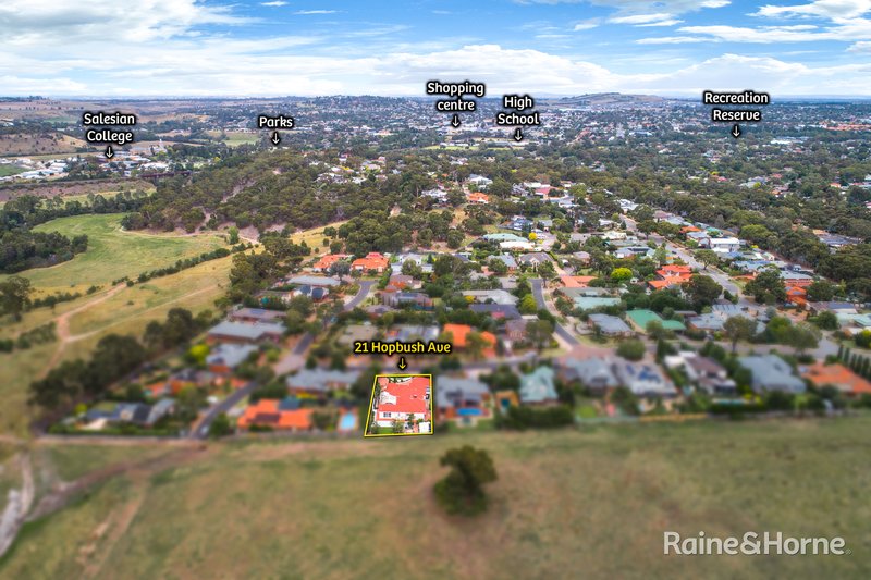 Photo - 21 Hopbush Avenue, Sunbury VIC 3429 - Image 25