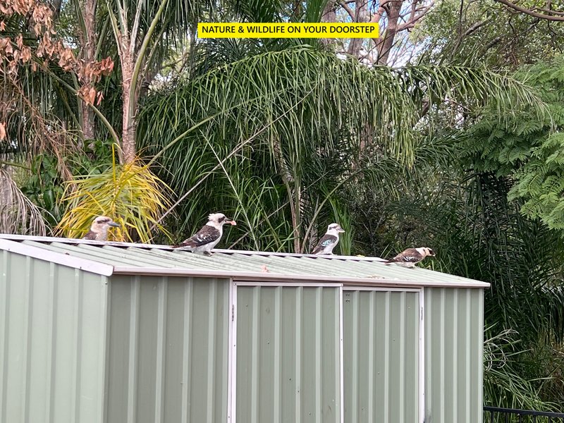 Photo - 21 Jeanette Avenue, Springwood QLD 4127 - Image 26