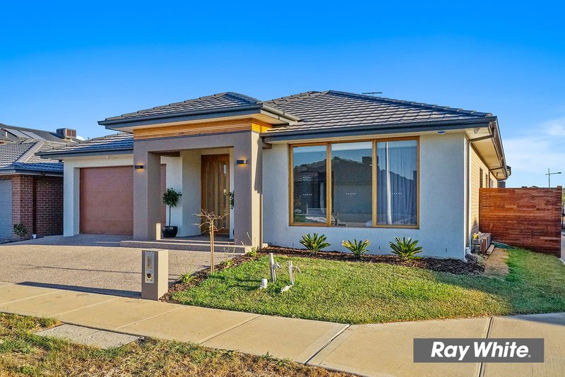 Photo - 21 Jindalee Way, Werribee VIC 3030 - Image 4