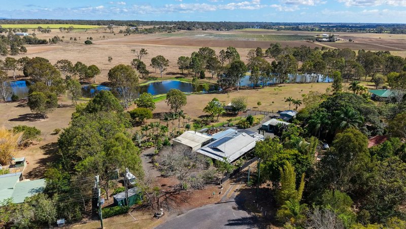 Photo - 21 Katrina Crescent, South Kolan QLD 4670 - Image 25