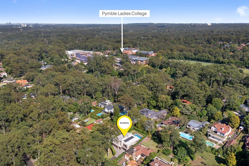 Photo - 21 Livingstone Avenue, Pymble NSW 2073 - Image 13