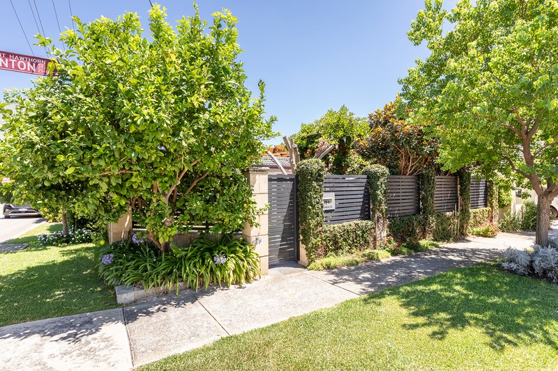 Photo - 21 Lynton Street, Mount Hawthorn WA 6016 - Image 23