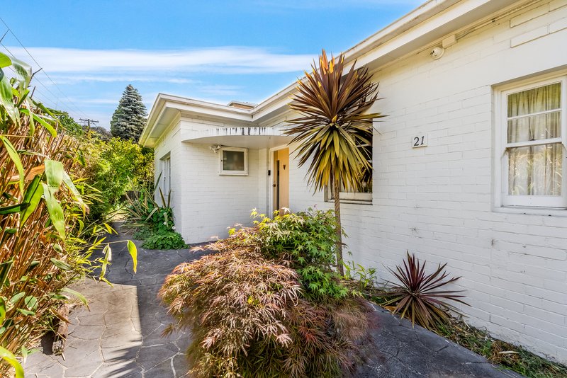 21 Maning Avenue, Sandy Bay TAS 7005