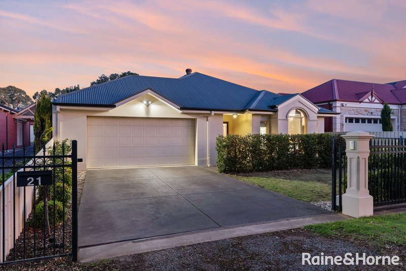 Photo - 21 Mcarthur Avenue, Plympton SA 5038 - Image 27