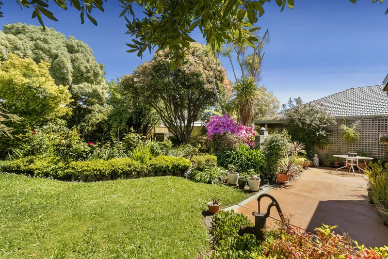 Photo - 21 Muir Street, Mount Waverley VIC 3149 - Image 9