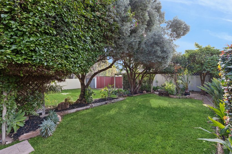 Photo - 21 Myall Avenue, Murray Bridge SA 5253 - Image 22