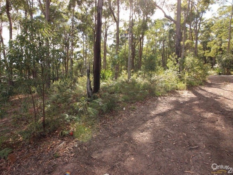 Photo - 21 Nancy Close, Cameron Park NSW 2285 - Image 3