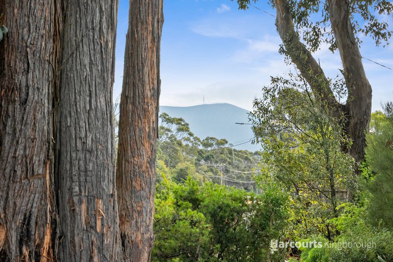 Photo - 21 Olinda Grove, Mount Nelson TAS 7007 - Image 5